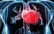 هر ورزشی برای هر قلبی مجاز نیست