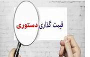 رهاسازی کامل بازار در شرایط فعلی منطقی نیست