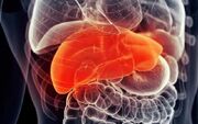 رژیم کم‌پروتئین؛ سپری جدید در برابر سرطان کبد