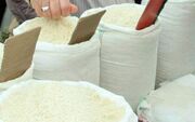 تلاطم در بازار برنج مازندران