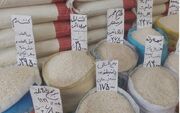 برنج ایرانی، هندی و پاکستانی کیلویی چند است