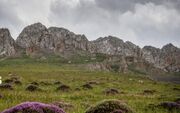 «مراتع» کمربند سبز مهار بیابان‌زایی را دریابیم