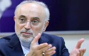 صالحی: درون‌گرا و منزوی شدیم