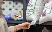 قیمت جدید برنج ایرانی و خارجی در بازار