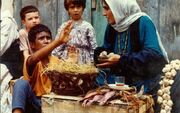 «باشو غریبه کوچک» راهی مونیخ می‌شود