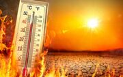 بهترین و بدترین غذاها در طول موج گرما