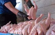 قیمت واقعی هر کیلو مرغ رسما اعلام شد