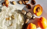 قبل از خوردن هسته زردآلو این مطلب را بخوانید