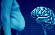 چاقی چگونه آلزایمر را تشدید می‌کند؟