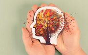 ۳ خوراکی محبوب که از آلزایمر پیشگیری می‌کند