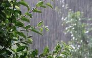 پیش‌بینی وضعیت هوا طی ۳ روز آینده