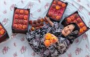 نگین باغ‌های خراسان شمالی در گرداب صنایع تبدیلی