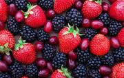 خوراکی‌هایی که خاصیت ضد سرطانی دارند