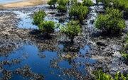 ۹۰هزار مترمربع از دریای جنوب نفتی شد