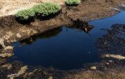 رونمایی از لکه‌های نفتی در قشم/فیلم