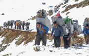 کولبری از فعالیت سنتی تا تجارت رسمی
