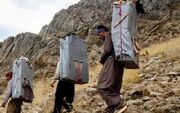 میان کولبران لیسانسه و قهرمان ورزشی داریم