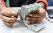 گرانی ارز، فرصت طلایی برای بانک‌های ناتراز؟