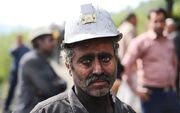 «کالابرگ» پول نیم کیلو گوشت هم نیست