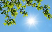 آسمانی صاف در اغلب نقاط کشور
