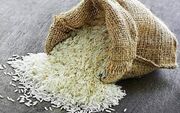 کاهش تولید برنج هند به قعر ۲۰ ساله