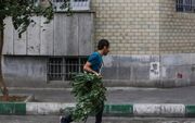 وزش باد شدید در تهران