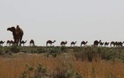 خطر بیخ گوش جنوب کرمان