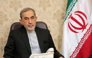 ولایتی: امنیتِ وارداتی، تاریخ مصرف دارد
