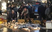 بازگشت رونق به بازار ماهی‌فروشان مازندران با سنت «چوزنی»