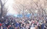 حال روانی جامعه ایران، هیچ خوب نیست
