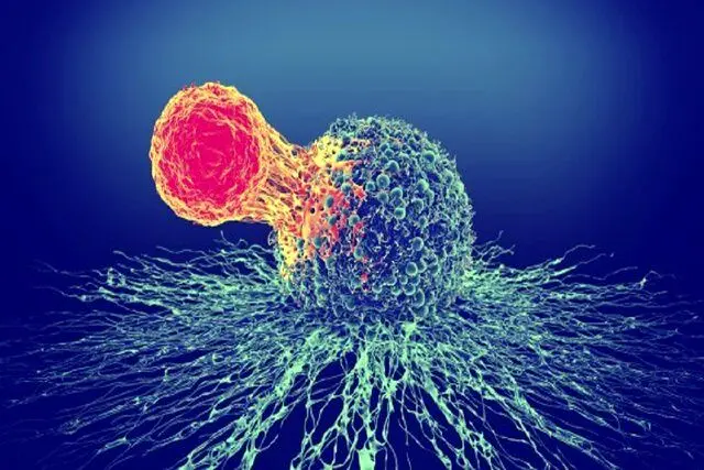 درمان سرطان بدون عوارض جانبی با روشی جدید