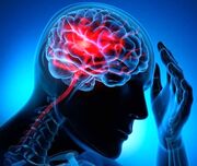علایم و نشانه‌های سکته مغزی را بشناسید