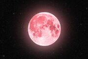 شمارش معکوس برای ظهور «ماه صورتی» در آسمان ایران