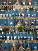 اینجا محله سیب‌زمینی در کپنهاگ دانمارک است!