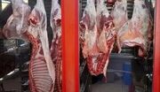 کاهش چشمگیر قیمت گوشت قرمز در بازار امروز