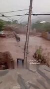 سیل بهاری در خراسان رضوی ماشین‌ها را بُرد!