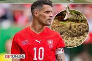 هشدار هجوم مارها در آستانه جام جهانی ۲۰۲۶