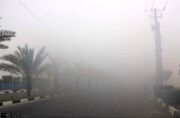 پدیده «سونای بخار» در جزیره کیش
