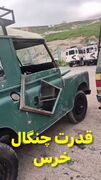 بلایی که قدرت چنگال خرس بر سر چند خودرو آورد
