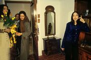 یک عکس کاملا دخترانه و تفسیرپذیر از شمال تهران
