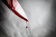 قتل تکان‌دهنده پدربزرگ با چاقوی نوه ۱۹ ساله