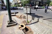 بلایی که بر سر ولیعصر و فلسطین آمده!