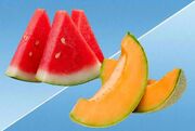 هندوانه یا طالبی؛ کدام‌ برای کنترل قند خون بهتر است؟