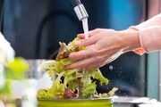 شست‌وشوی این سبزی محبوب تابستانی را جدی بگیرید