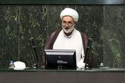 نماینده پایداری: افتخار دولت این است که قحطی نیامد؟