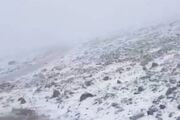 تصاویر کم‌نظیر از برف تابستانی روی بام ایران