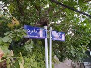 نقطه‌ای در ایران که کوچه‌ها به نام مادربزرگ‌هاست!