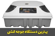 بهترین دستگاه جوجه کشی برای تمام پرنده ها
