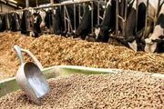 تخلف ۴۵هزار میلیارد تومانی در وزارت جهاد کشاورزی؟