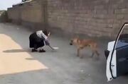 تصاویری از بلاگر خانمی که بازداشت شد